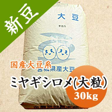 令和5年産 宮城県産 大豆 ミヤギシロメ 大粒 30kg 大豆 30kg 2024年産 令